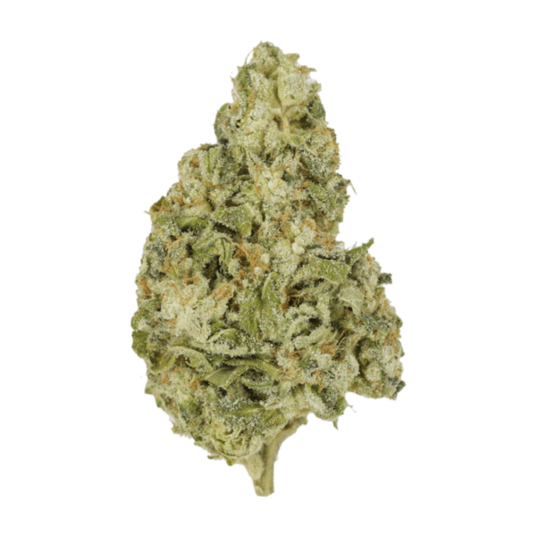 Zombie OG | BC Weed Edible Canada