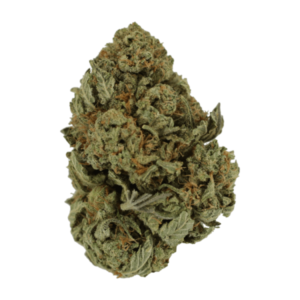 Master Kush Ultra | BC Weed Edible Canada