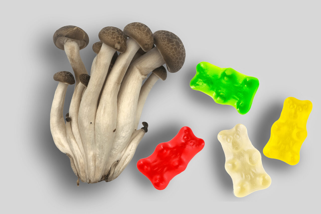 Edibles containing LSD